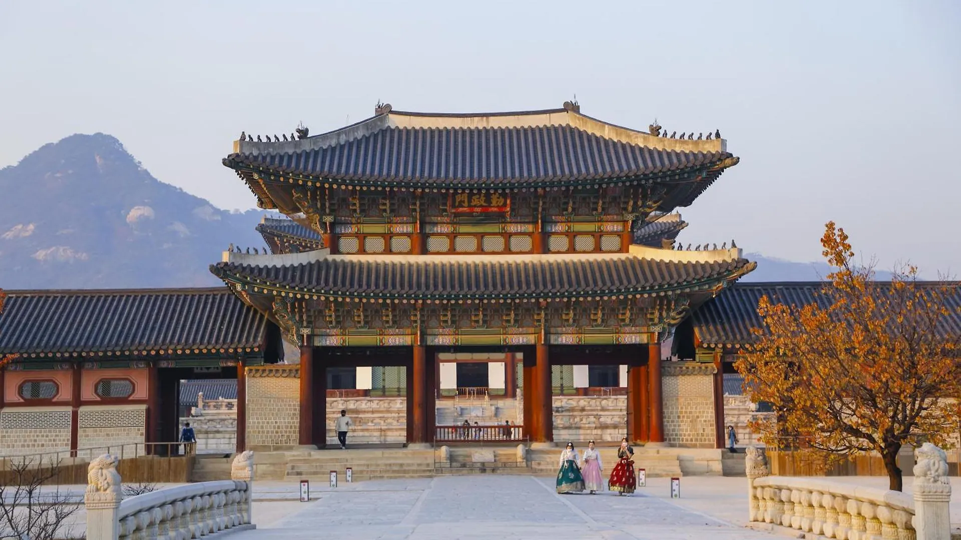 Citytiger Seoul